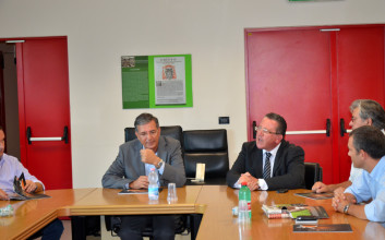 Meeting at the Fruits and Vegetable Market, Fondi